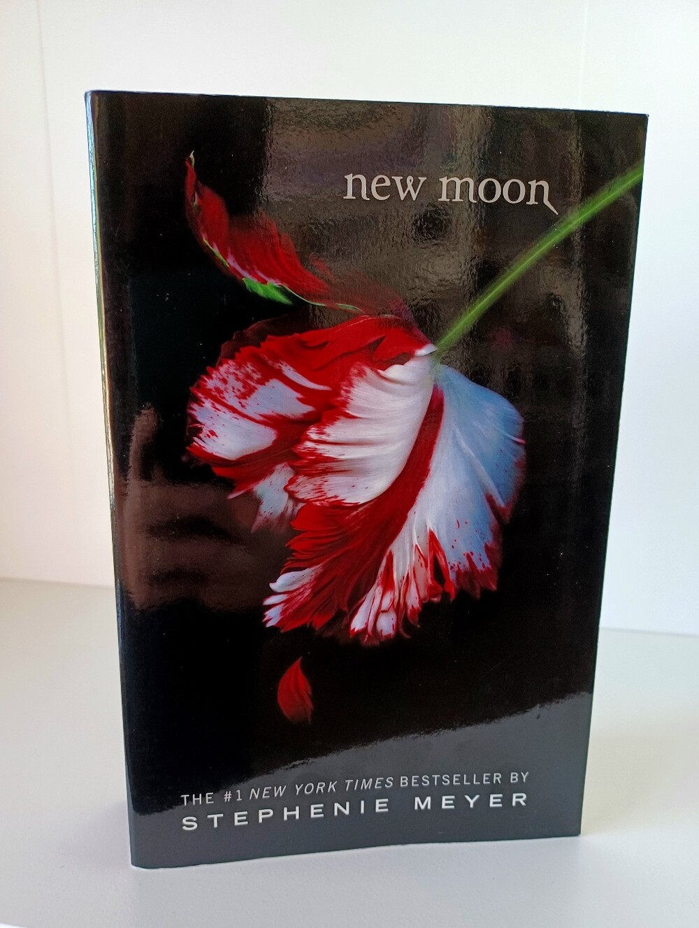 New‎ Moon Book From The Twilight Series Vampire Bestseller Stephenie Meyer